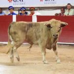 Aguascalientes (México), domingo 29 de abril de 2018