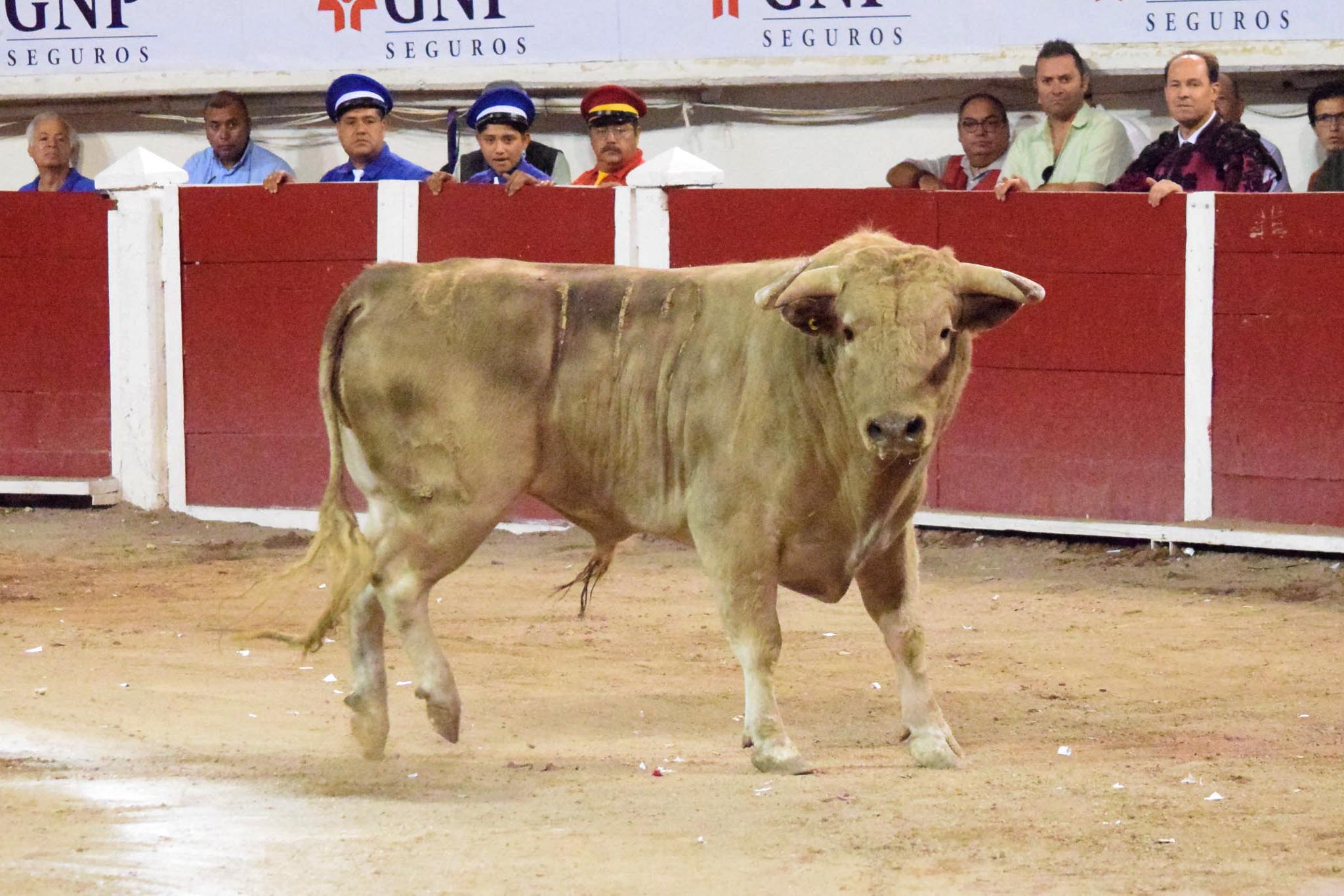 Aguascalientes (México), domingo 29 de abril de 2018