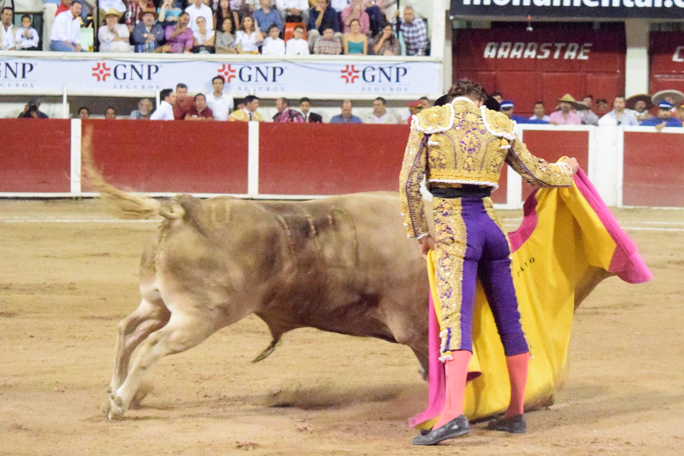Aguascalientes (México), domingo 29 de abril de 2018