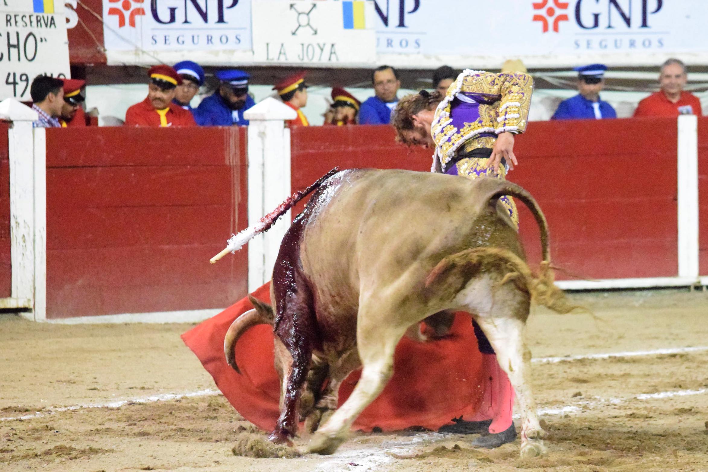 Aguascalientes (México), domingo 29 de abril de 2018