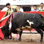 Madrid, 15 de abril de 2018