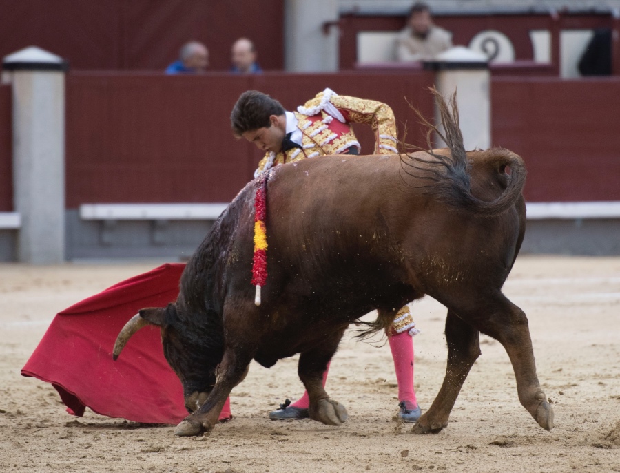 Madrid, 15 de abril de 2018