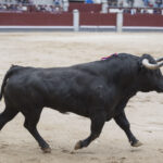 Madrid - Las Ventas - Domingo de Resurreción - 1 de abril de 2018