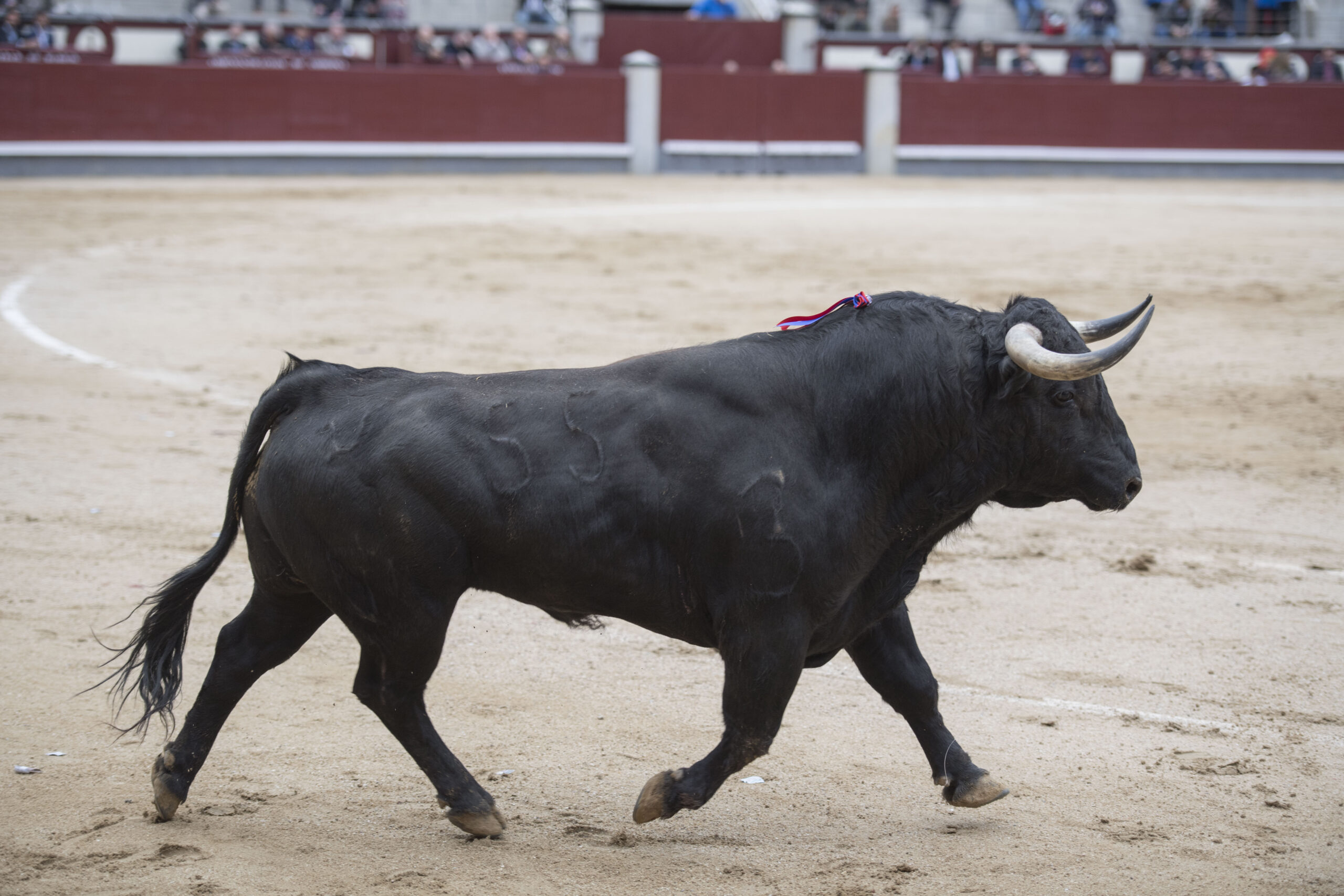 Madrid - Las Ventas - Domingo de Resurreción - 1 de abril de 2018