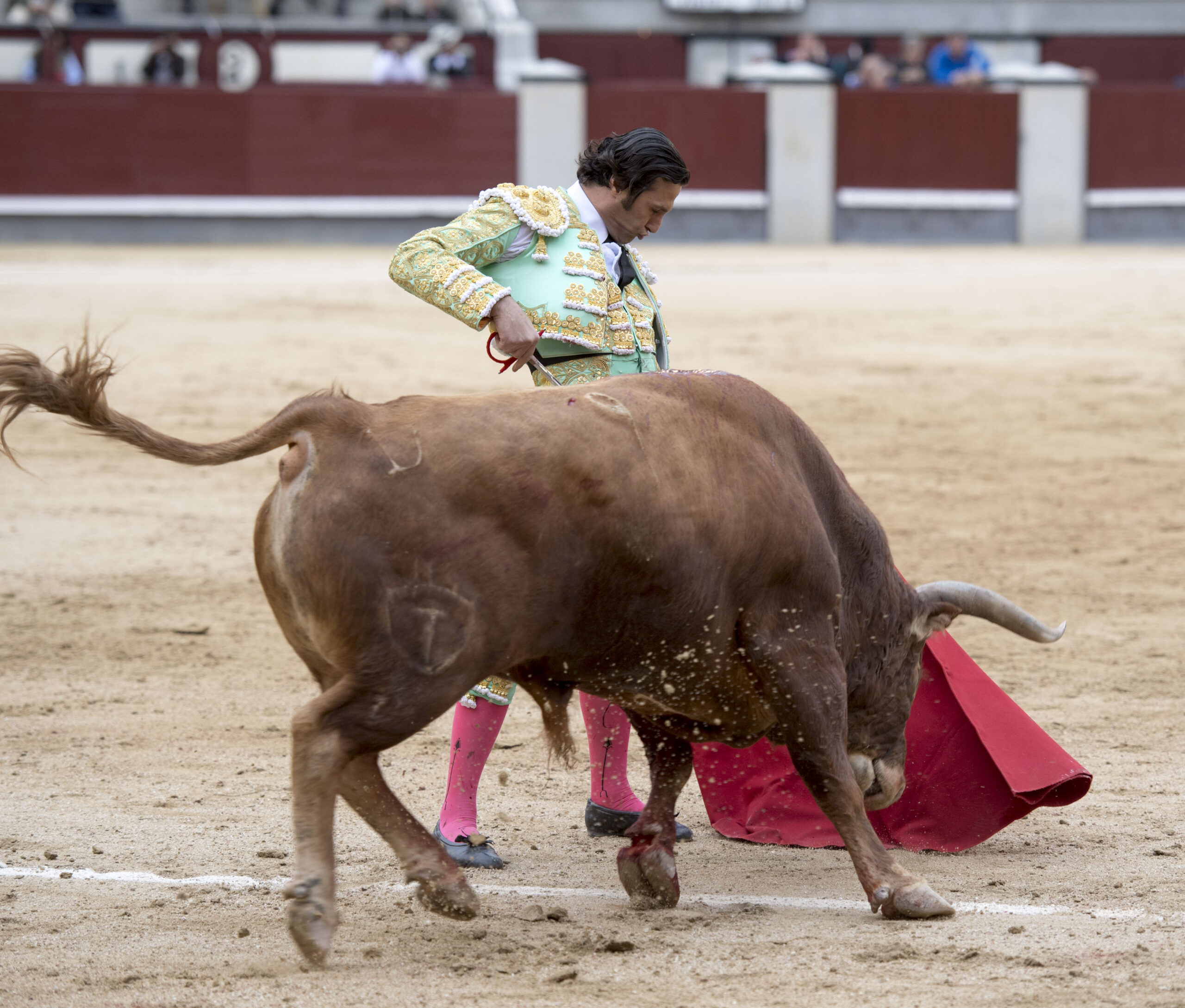 Madrid - Las Ventas - Domingo de Resurreción - 1 de abril de 2018