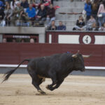 Madrid - Las Ventas - Domingo de Resurreción - 1 de abril de 2018