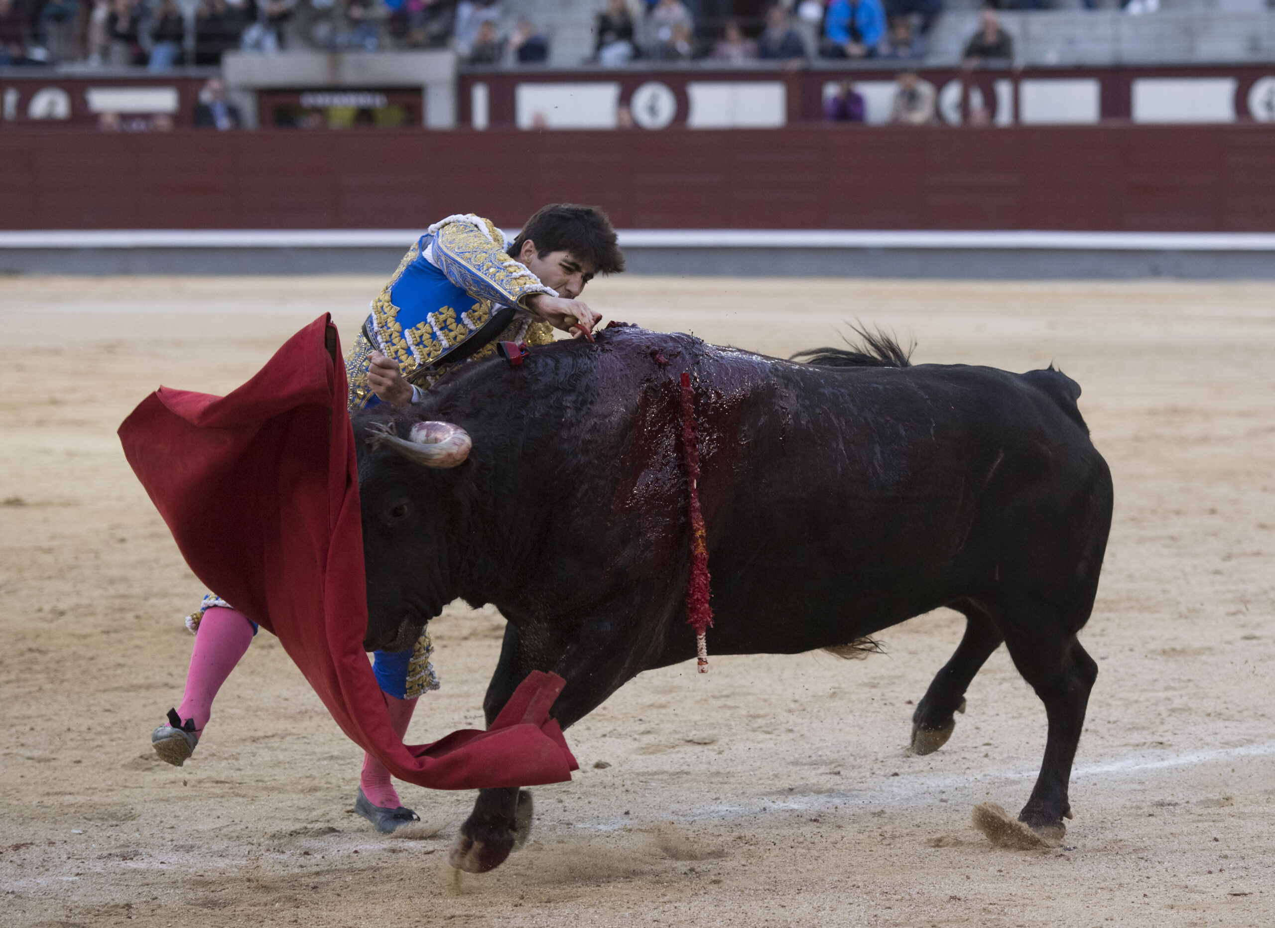 Madrid - Las Ventas - Domingo de Resurreción - 1 de abril de 2018