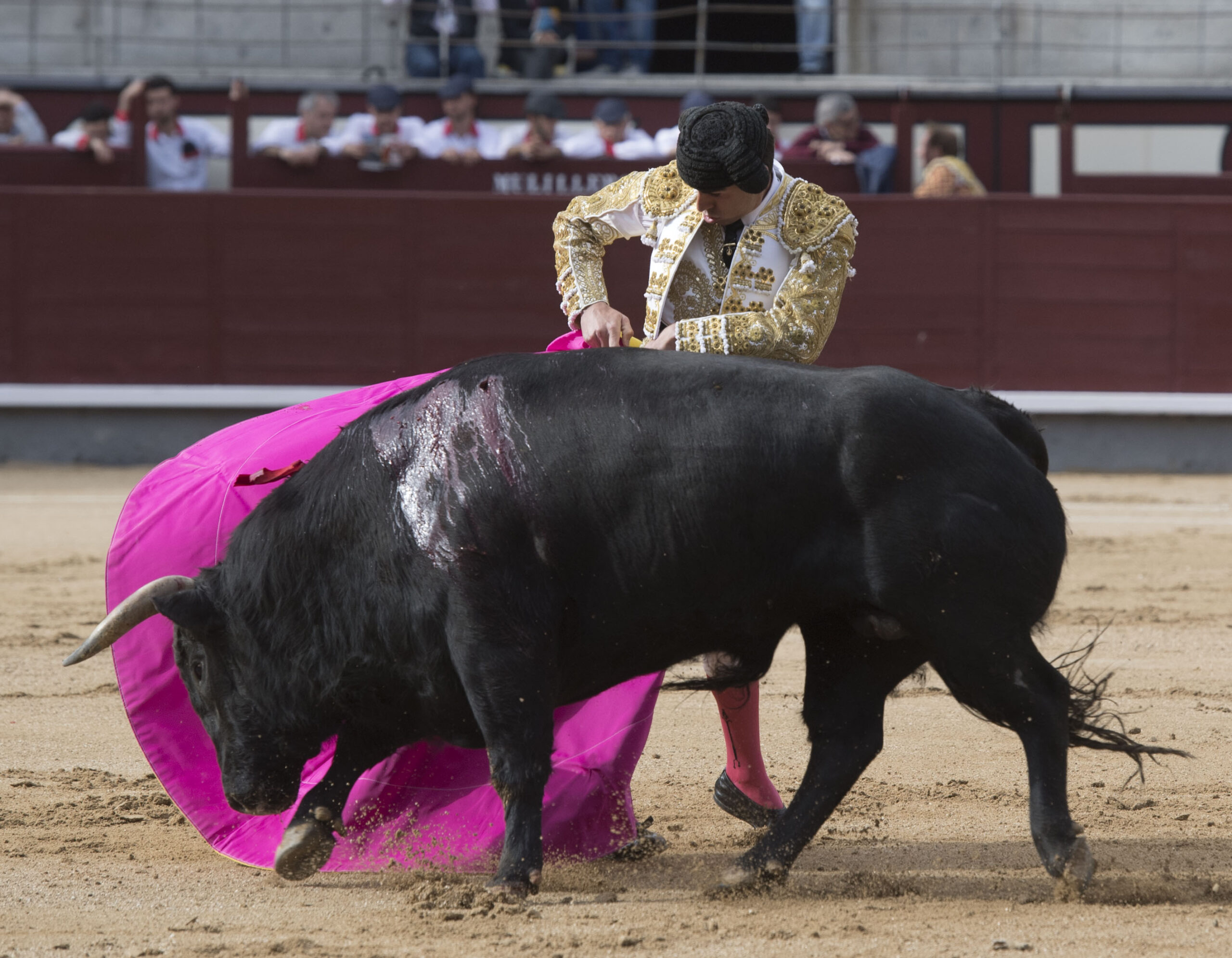 Madrid - Las Ventas - Novillada picada - Domingo 22 de abril de 2018