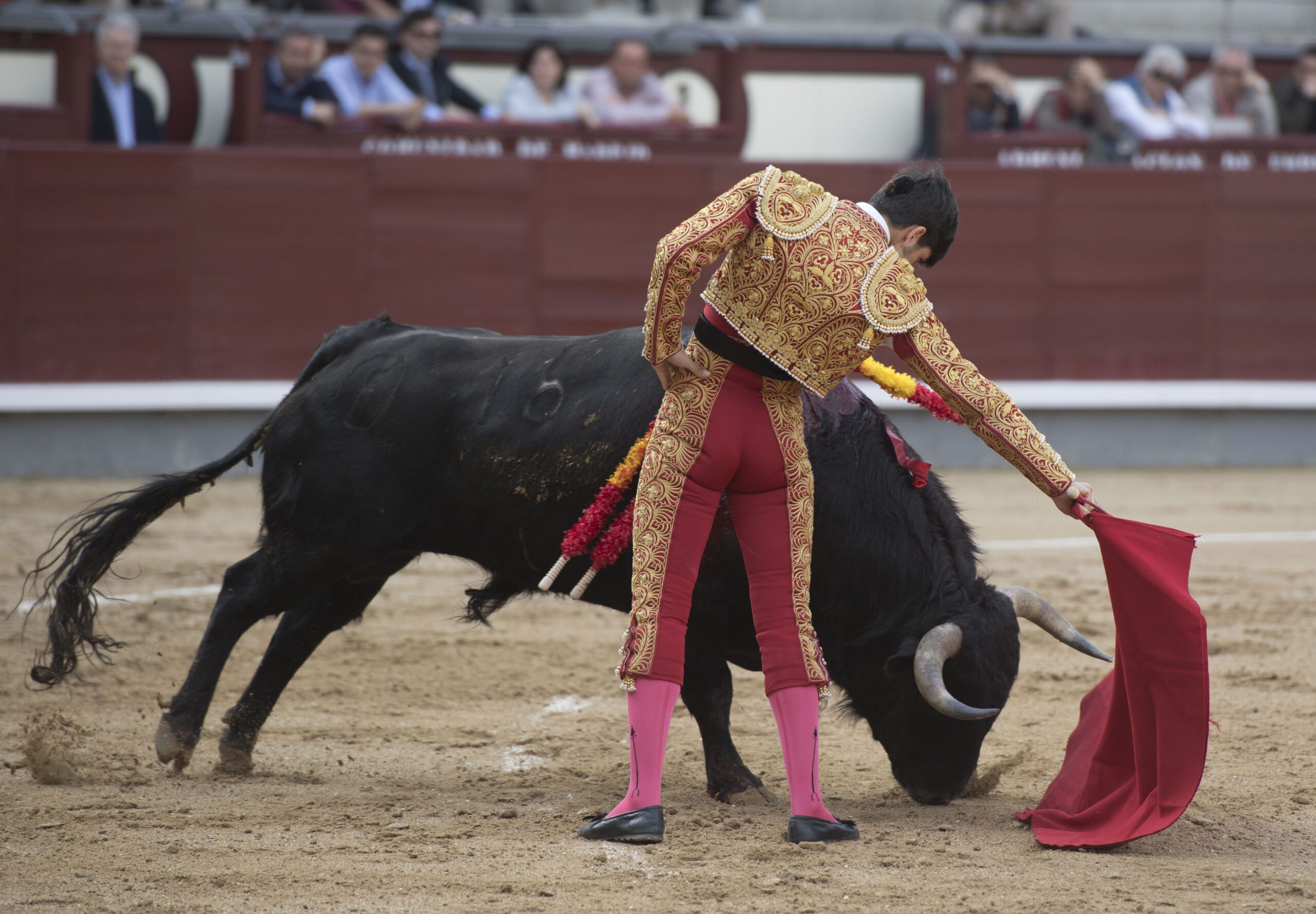 Madrid - Las Ventas - Novillada picada - Domingo 22 de abril de 2018