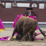 Madrid - Las Ventas - Novillada picada - Domingo 22 de abril de 2018