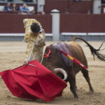 Madrid - Las Ventas - Novillada picada - Domingo 22 de abril de 2018