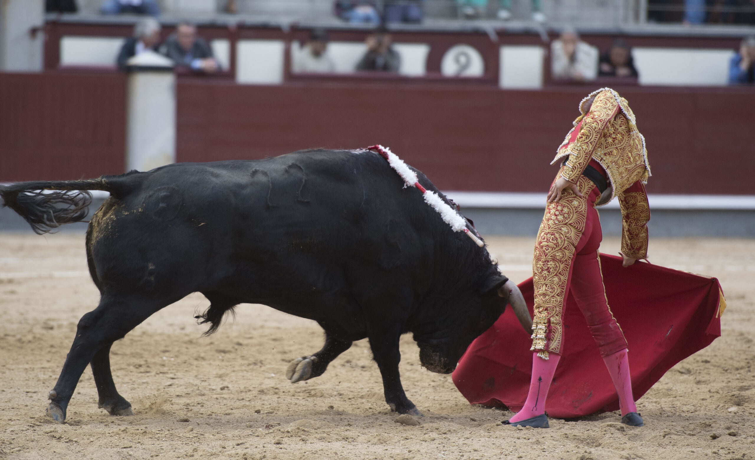 Madrid - Las Ventas - Novillada picada - Domingo 22 de abril de 2018