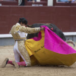 Madrid - Las Ventas - Novillada picada - Domingo 22 de abril de 2018