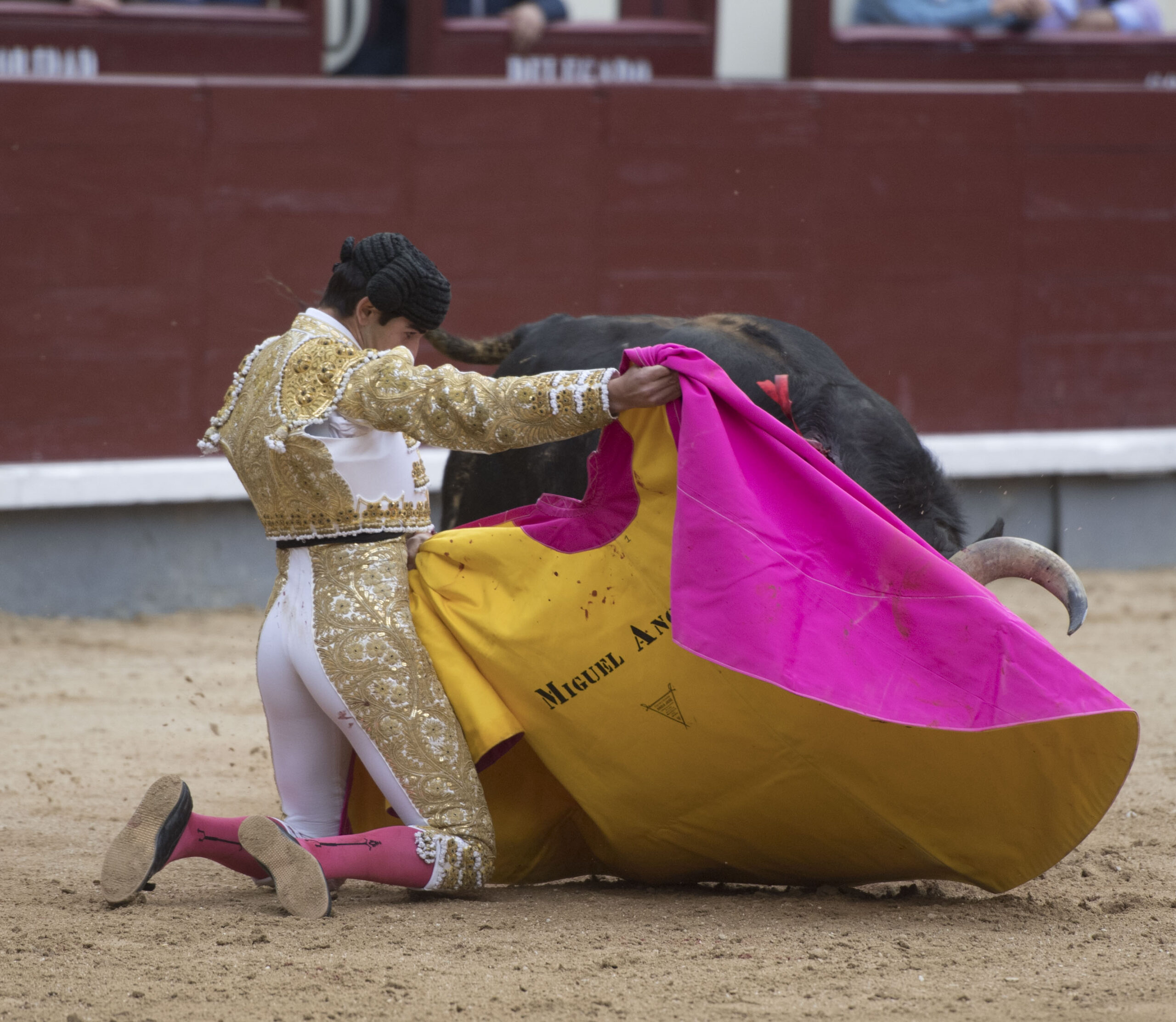 Madrid - Las Ventas - Novillada picada - Domingo 22 de abril de 2018