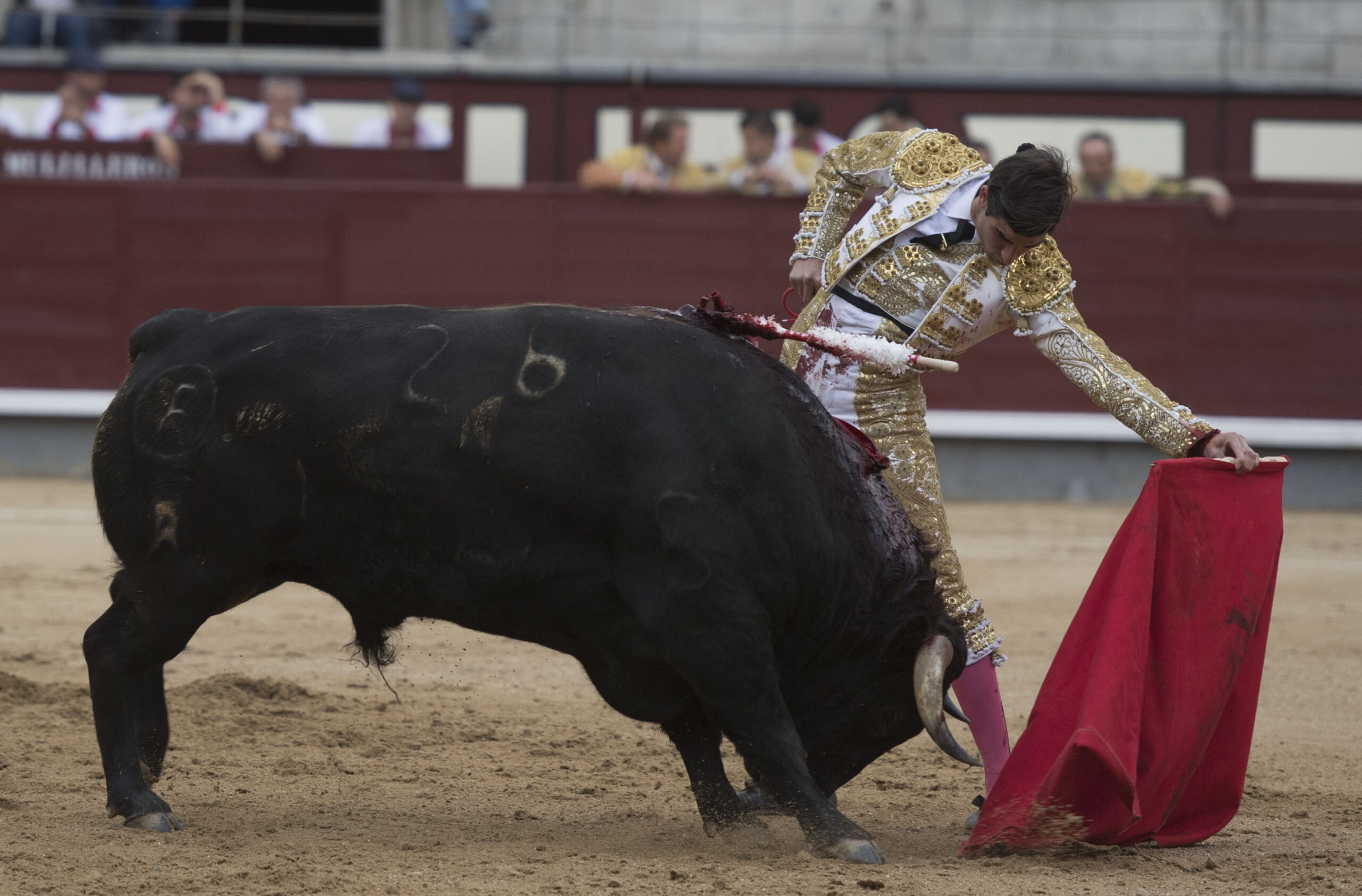 Madrid - Las Ventas - Novillada picada - Domingo 22 de abril de 2018