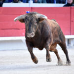Arles - Feria de Pascua - Corrida de toros - Sábado 31 de marzo de 2018
