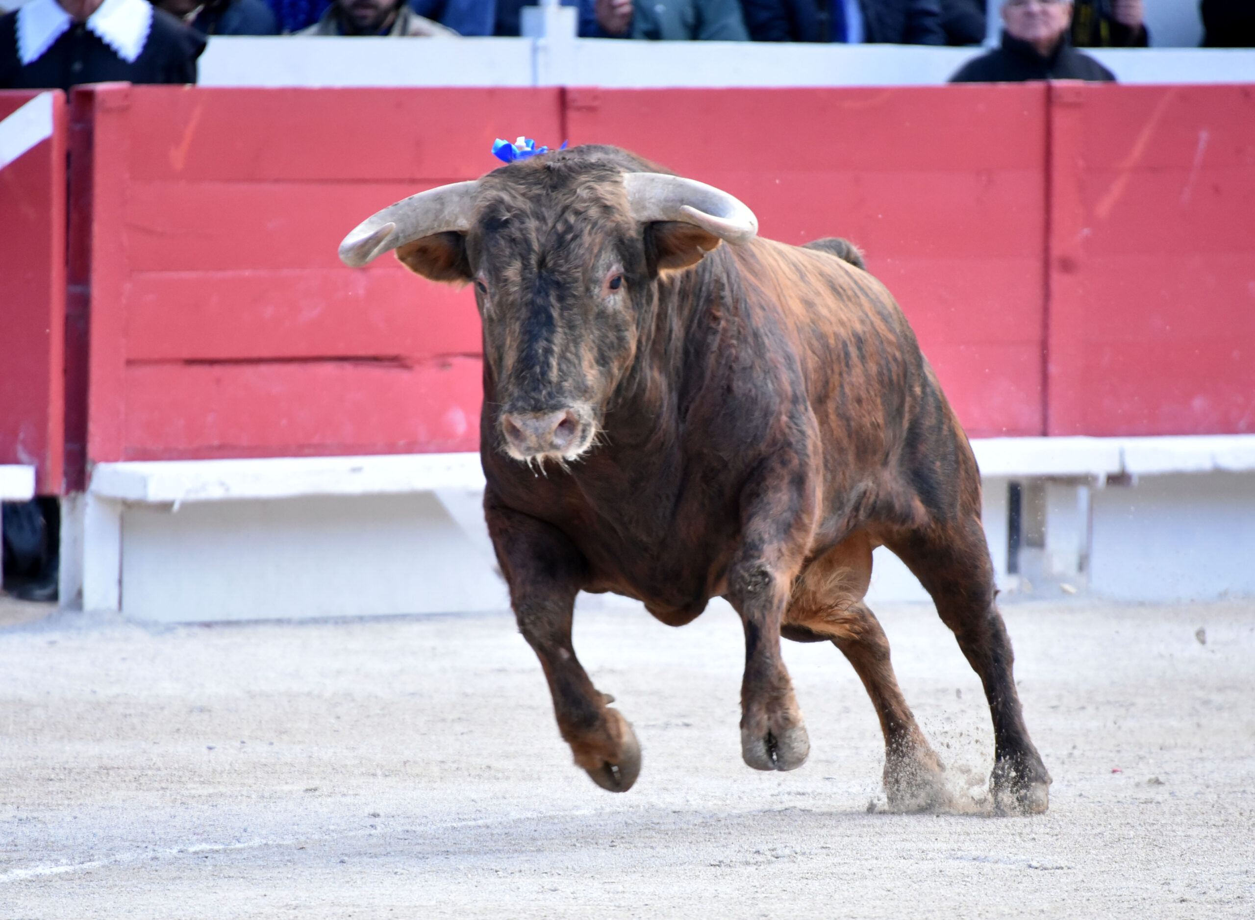 Arles - Feria de Pascua - Corrida de toros - Sábado 31 de marzo de 2018