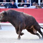 Arles - Feria de Pascua - Corrida de toros - Sábado 31 de marzo de 2018