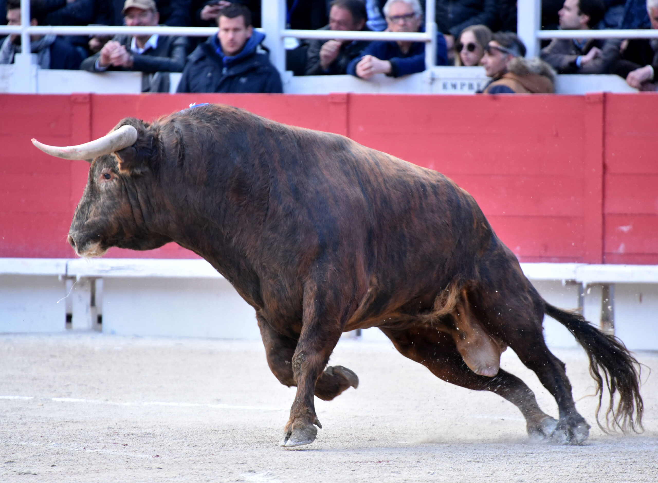 Arles - Feria de Pascua - Corrida de toros - Sábado 31 de marzo de 2018