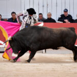 Arles - Feria de Pascua - Corrida de toros - Sábado 31 de marzo de 2018