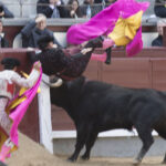 Madrid - Novillada picada - Domingo 8 de abril de 2018