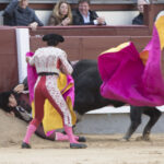 Madrid - Novillada picada - Domingo 8 de abril de 2018