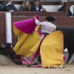 Madrid - Novillada picada - Domingo 8 de abril de 2018