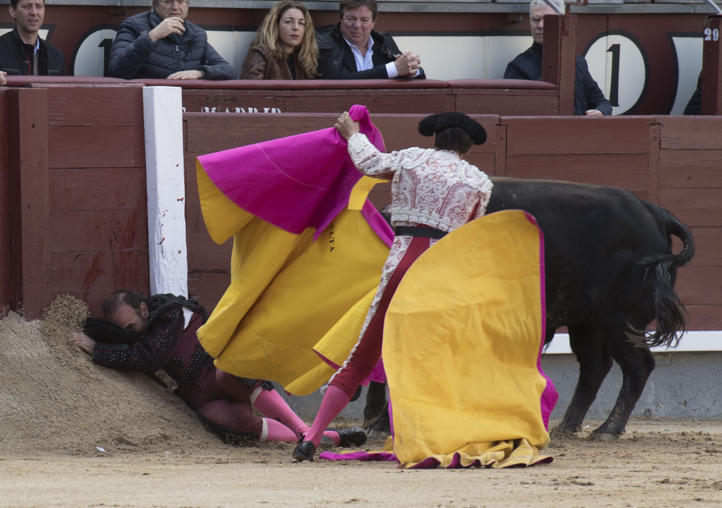 Madrid - Novillada picada - Domingo 8 de abril de 2018