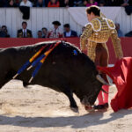 Arles (Francia) - Feria de Pascua - Corrida de toros - Domingo 1 de abril de 2018