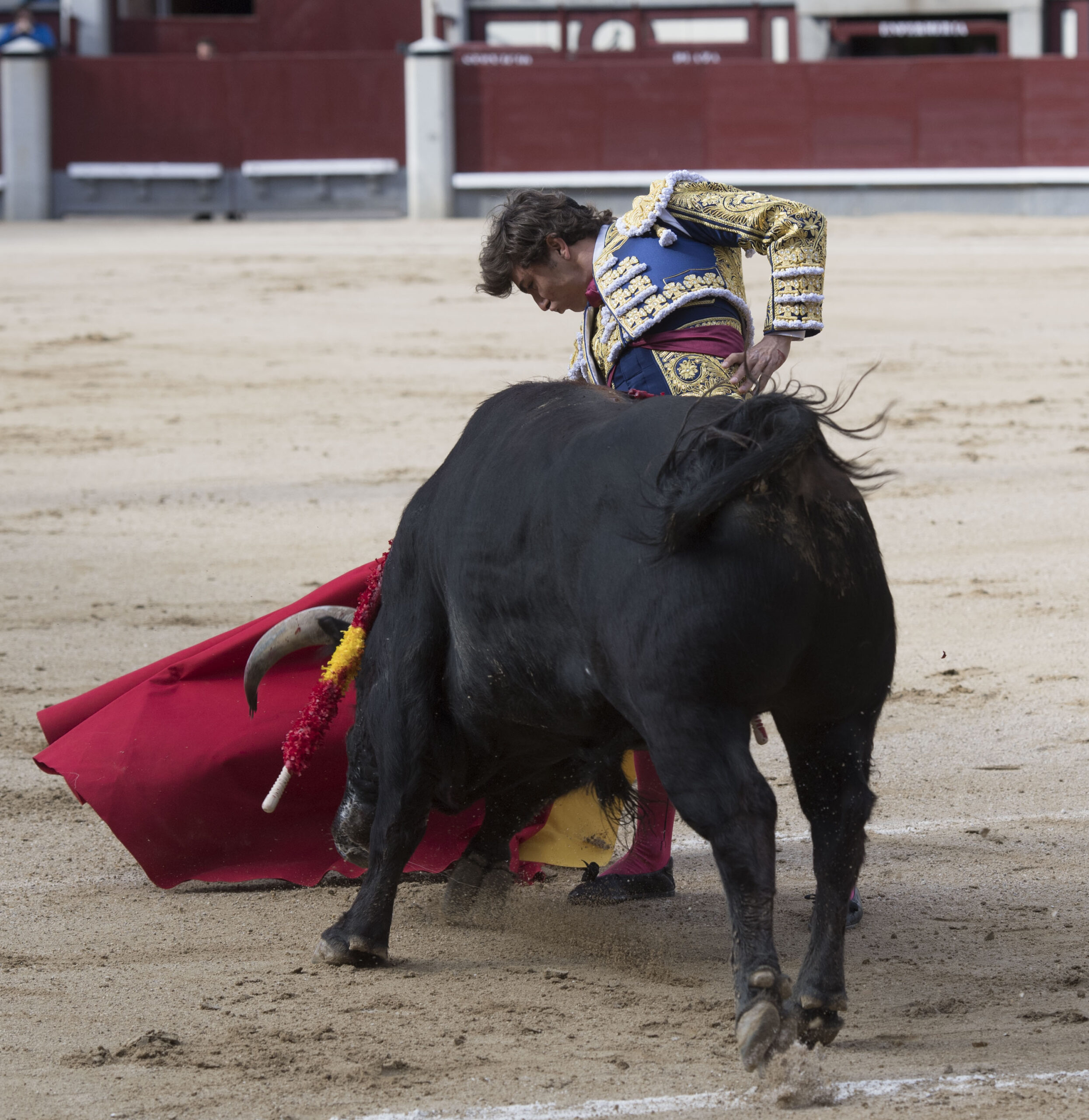 Madrid - Novillada picada - Domingo 8 de abril de 2018