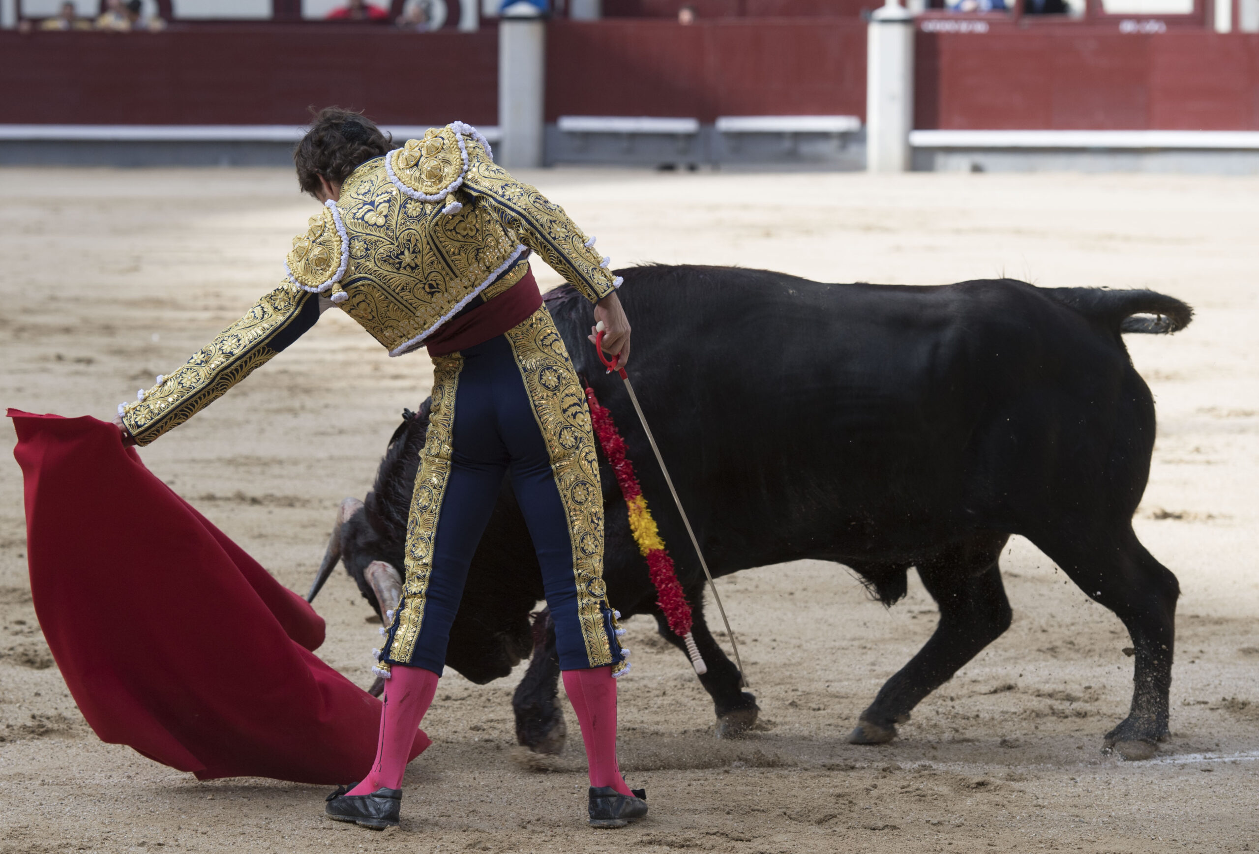Madrid - Novillada picada - Domingo 8 de abril de 2018