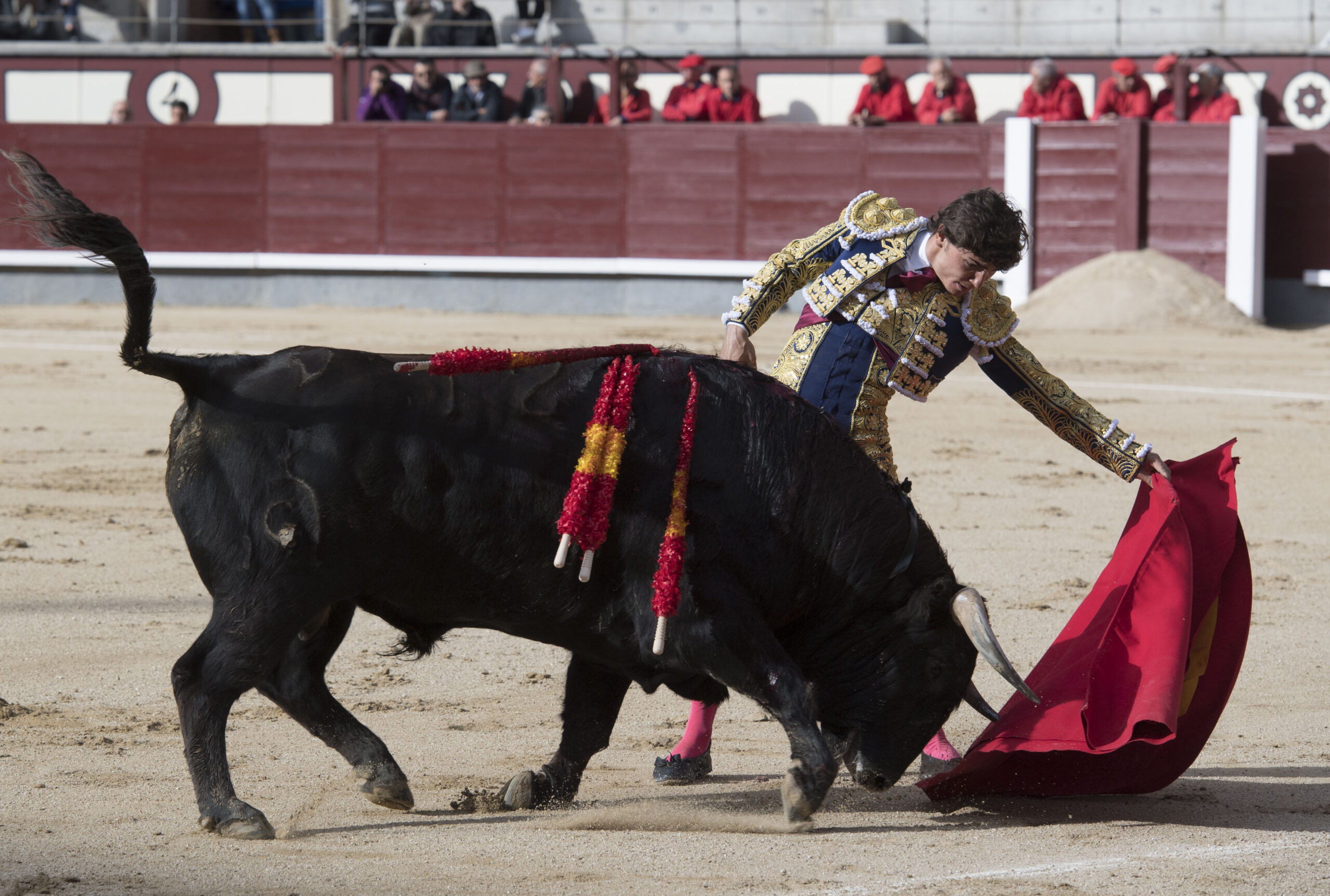 Madrid - Novillada picada - Domingo 8 de abril de 2018