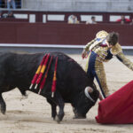 Madrid - Novillada picada - Domingo 8 de abril de 2018