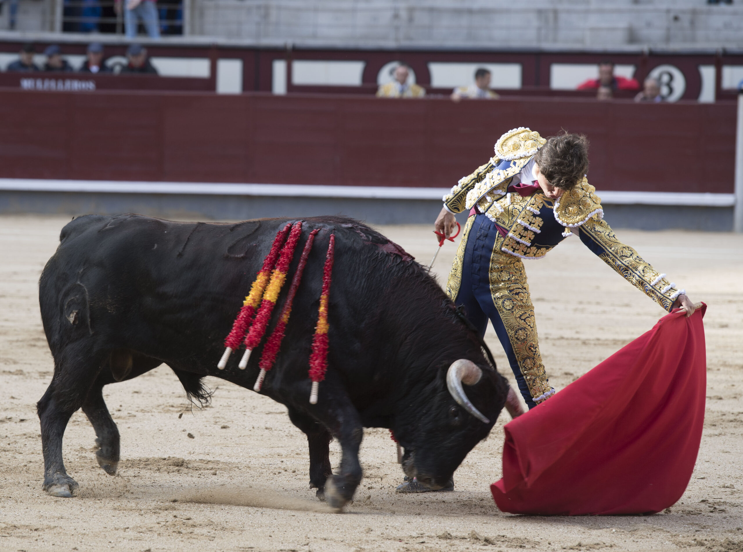 Madrid - Novillada picada - Domingo 8 de abril de 2018