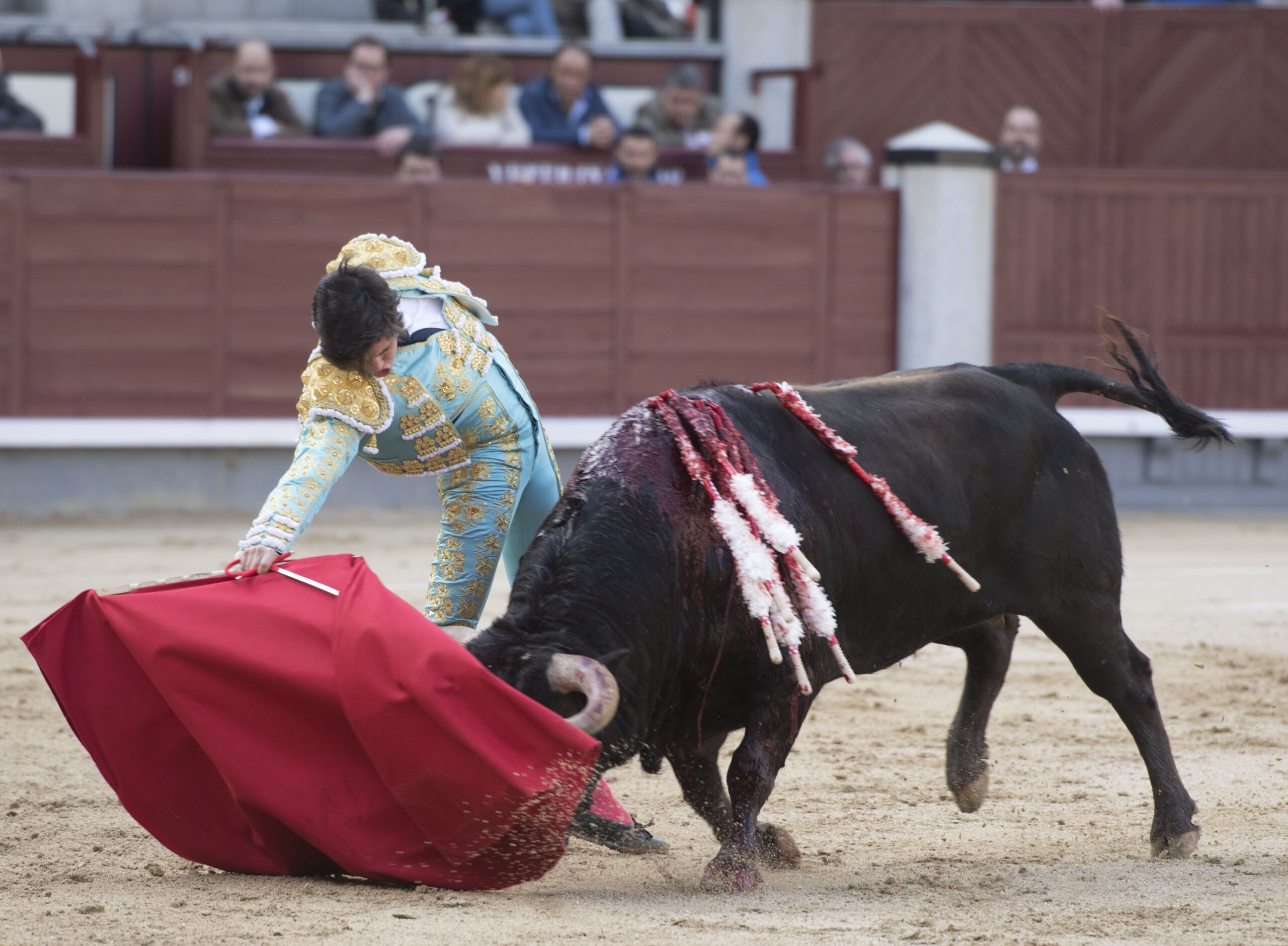Madrid - Novillada picada - Domingo 8 de abril de 2018