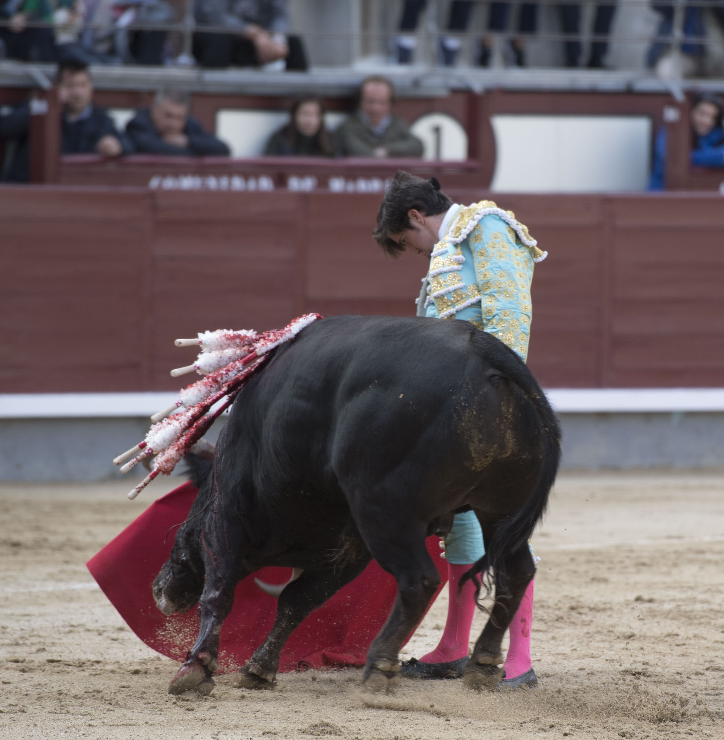 Madrid - Novillada picada - Domingo 8 de abril de 2018