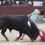 Madrid - Novillada picada - Domingo 8 de abril de 2018