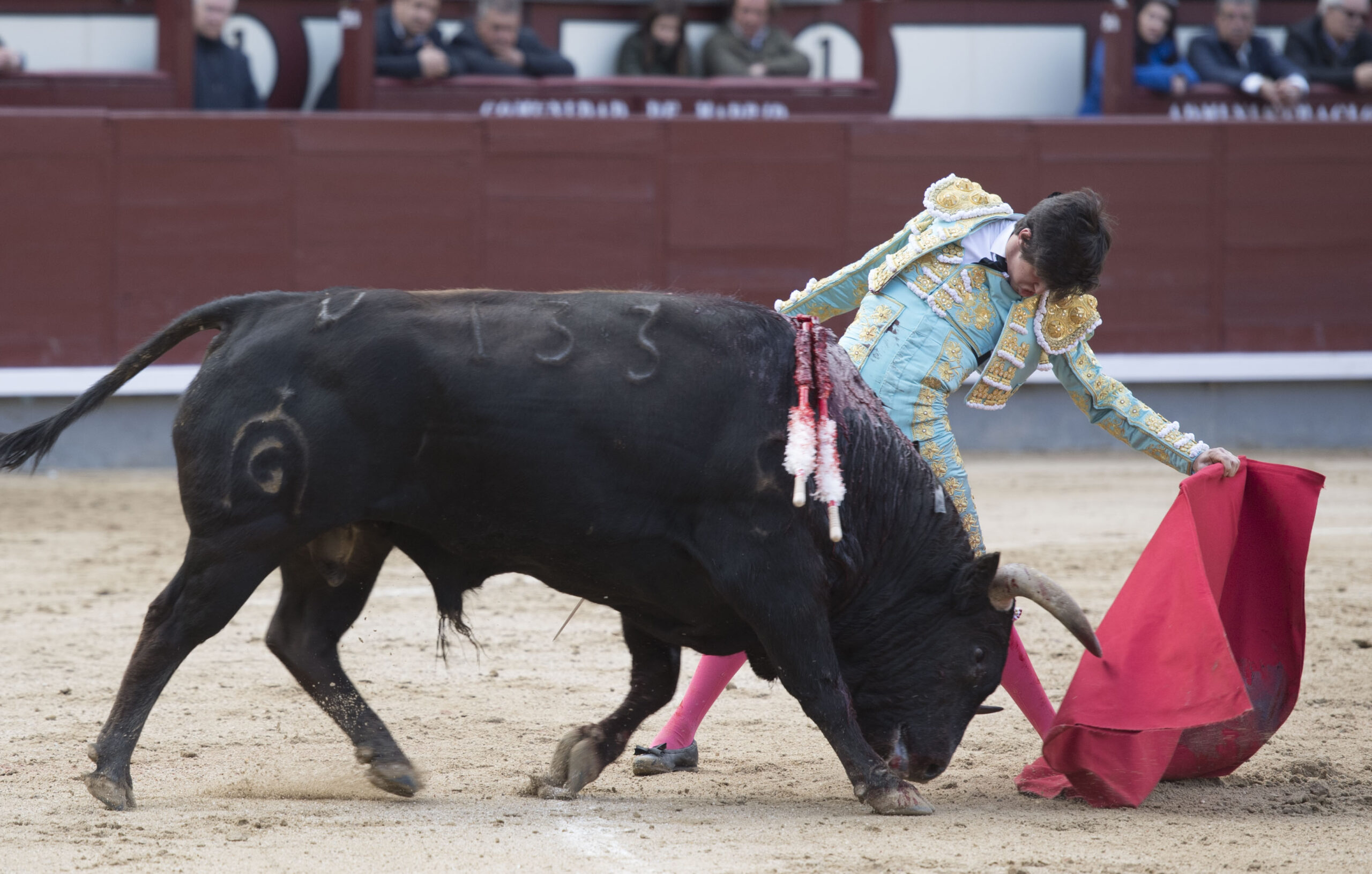 Madrid - Novillada picada - Domingo 8 de abril de 2018