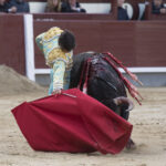 Madrid - Novillada picada - Domingo 8 de abril de 2018