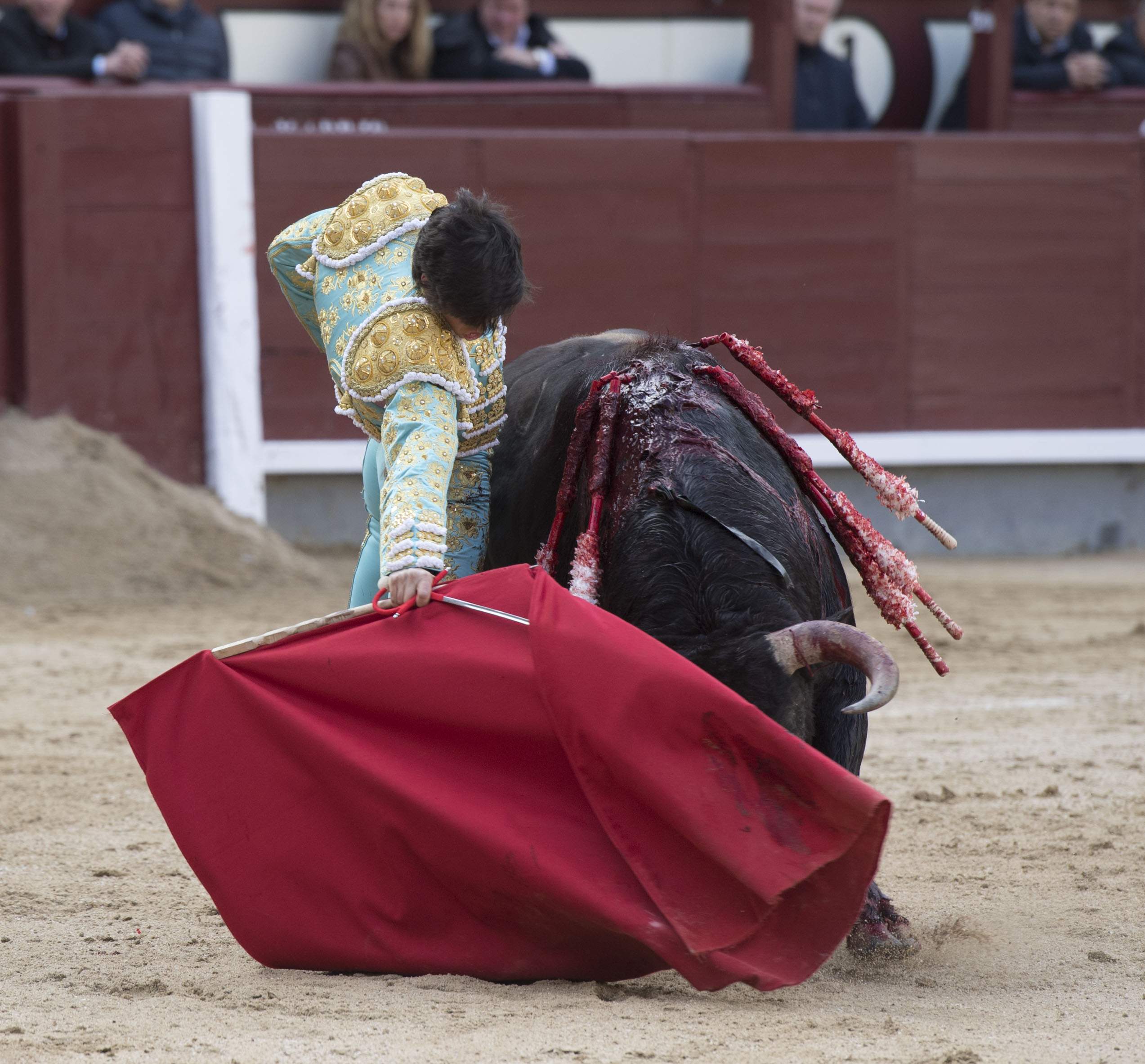 Madrid - Novillada picada - Domingo 8 de abril de 2018