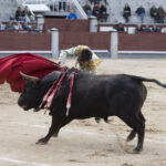 Madrid - Novillada picada - Domingo 8 de abril de 2018