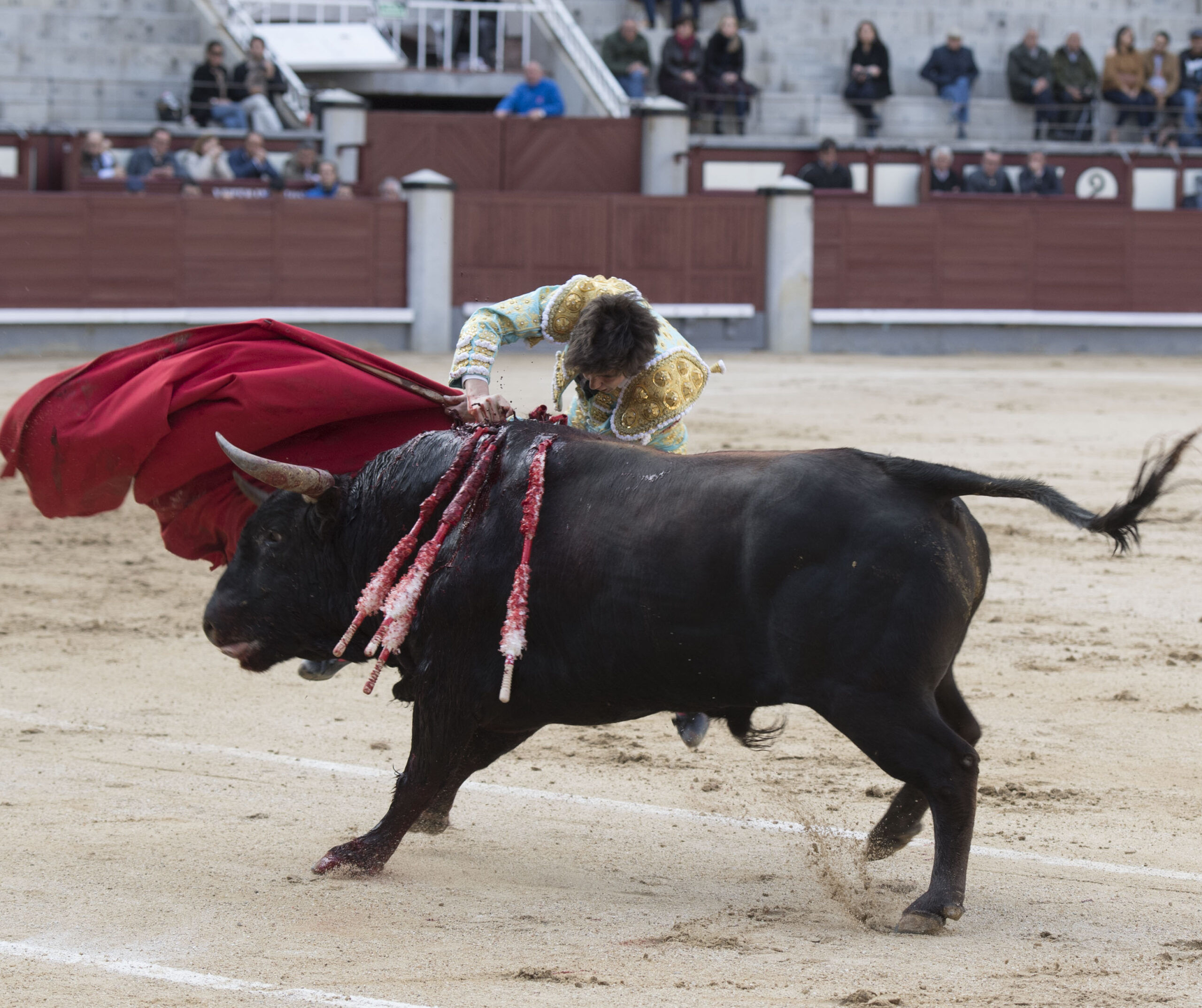 Madrid - Novillada picada - Domingo 8 de abril de 2018