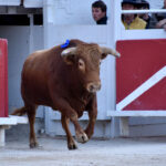 Arles (Francia) - Feria de Pascua - Corrida de toros - Domingo 1 de abril de 2018