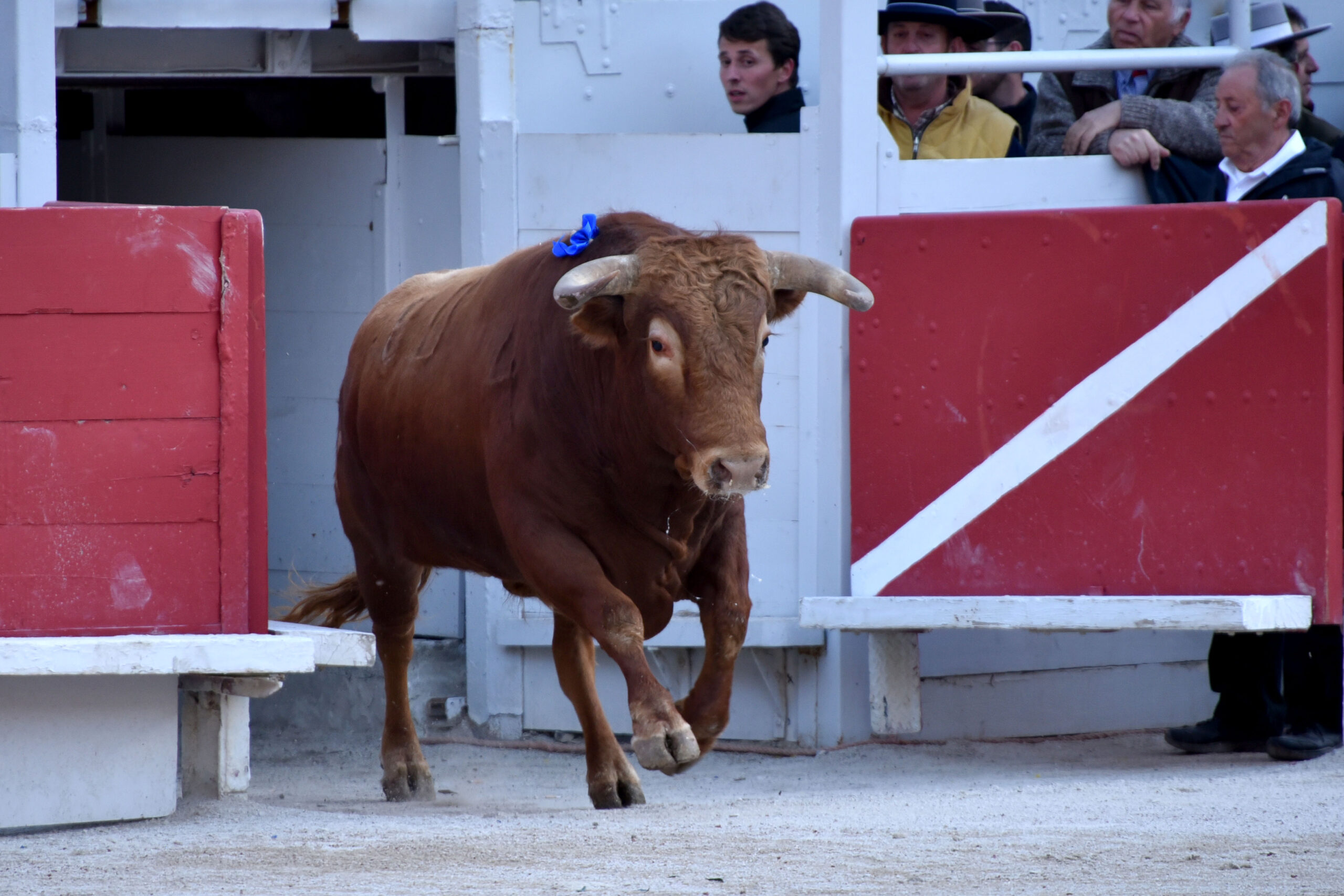Arles (Francia) - Feria de Pascua - Corrida de toros - Domingo 1 de abril de 2018