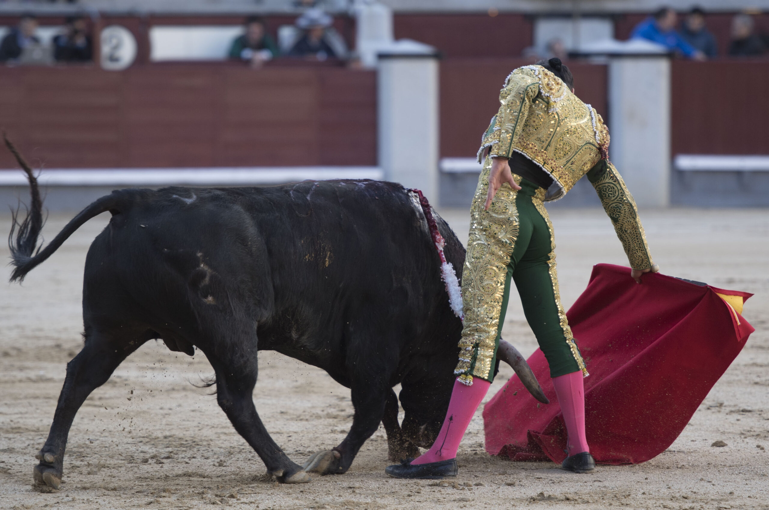 Madrid - Novillada picada - Domingo 8 de abril de 2018