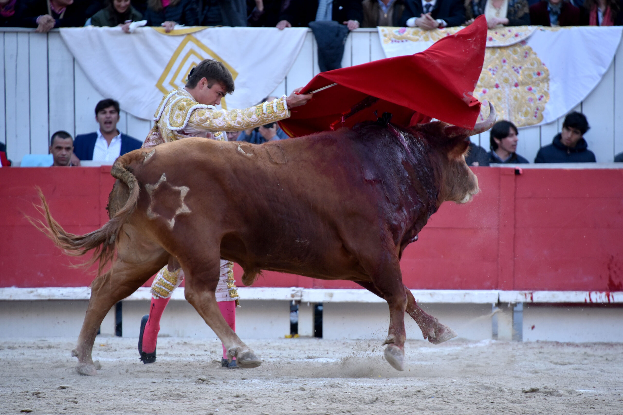 Arles (Francia) - Feria de Pascua - Corrida de toros - Domingo 1 de abril de 2018