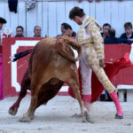 Arles (Francia) - Feria de Pascua - Corrida de toros - Domingo 1 de abril de 2018