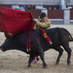 Madrid - Novillada picada - Domingo 8 de abril de 2018