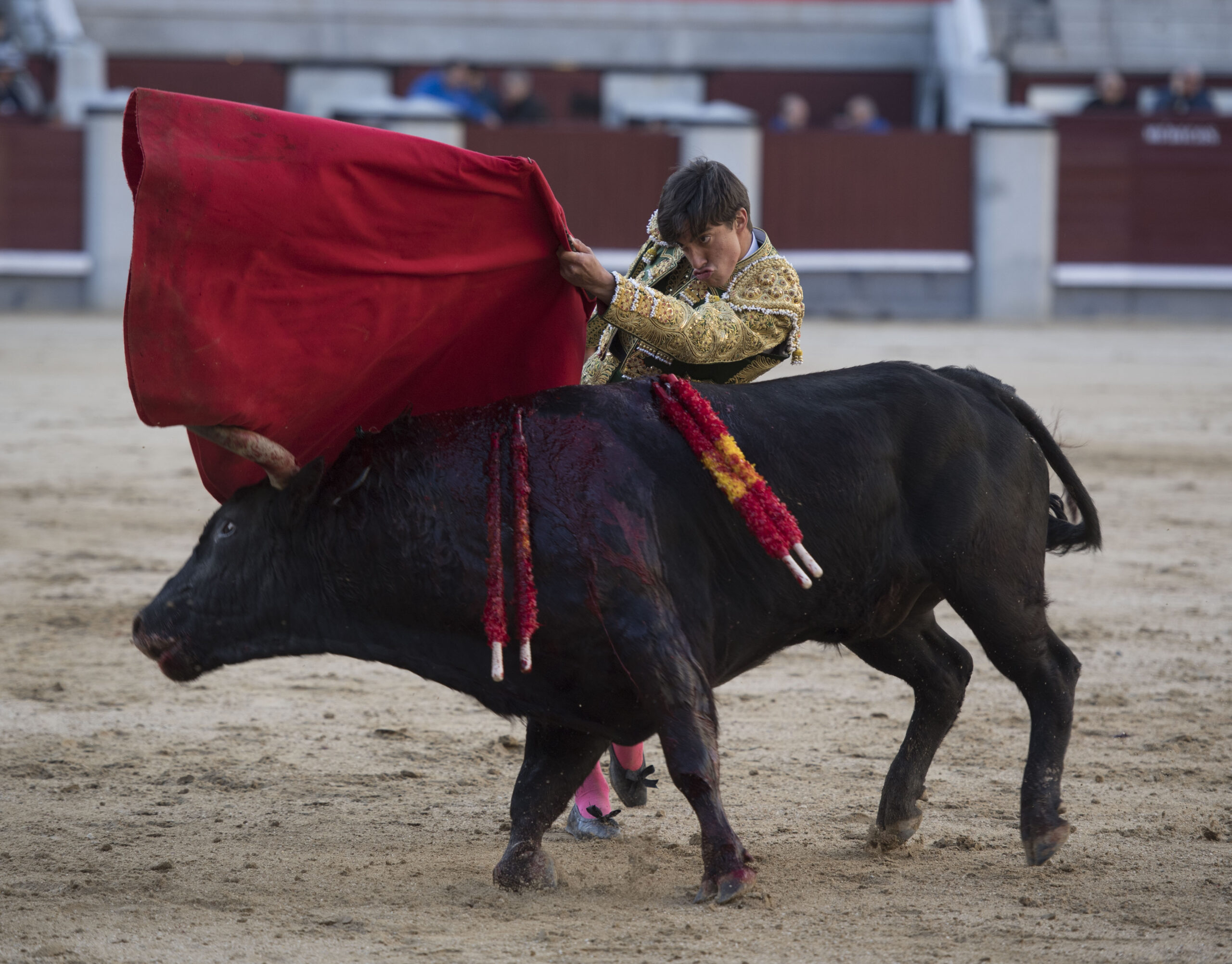 Madrid - Novillada picada - Domingo 8 de abril de 2018