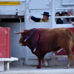 Arles (Francia) - Feria de Pascua - Corrida de toros - Domingo 1 de abril de 2018